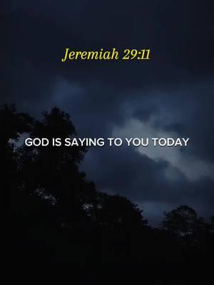 Jeremiah 29:11 For I know the plans I have for you,” declares the LORD, “plans to prosper you and not to harm you, plans to give you hope and a future. #jeremiah2911 #bibleverse #christiantiktok #prayersdaily 