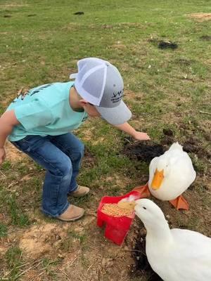 kyp Karter 💙 #grandson #myfarmhand #lilbullrider #cowboy #farmboy #contryboy #mississippi #fyp #grandkids #deerhunter #farmkidsoftiktok  #foryou #foryoupage #southrenboys #plantaseed #watchitgrow #farmkid ##raiseumright  