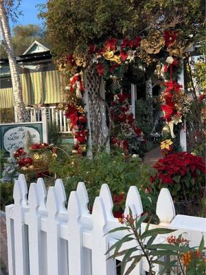 What a cute little street! It’s so feative! 😩 #orangecounty #orangecountyca #socallife #socaladventures #socalliving #socal #socaltiktok #octok #sanjuancapistrano 