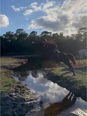 sooo like xc pony??  #rideforchrome #equestriansoftiktok #dreamlandfarmsfl 