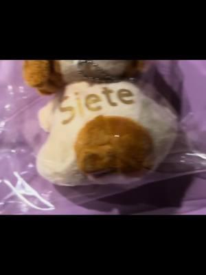 2 more plush bulldogs made just for Siete 💜 #plushbulldog #personalizedgift #pettoy #PetsOfTikTok #TikTokShop #fyf #foryou #foryoupage #deal #gift