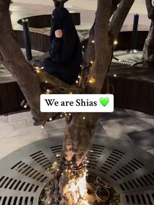 I am proud to be shia and pround to be one of the followers of ahul bayt #313 #shia #rafidi313 #proudtobeshias #ahulbayt #muslim 