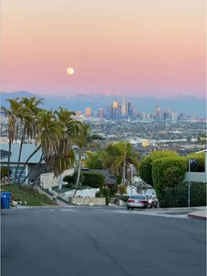 🎥: @eJimmy3 LA things 💕🌴 #discoverLA #thingstodoinlosangeles #losangeles #tourism #visitlosangeles #explorepage #beach #NowPlaying #foryoupage #holidays 