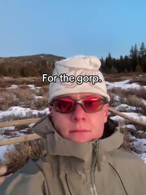 #gorpcorefashion #arcteryxjacket #arcteryx #arcteryx #fy #Hiking #gorpcoreaesthetic #viral 