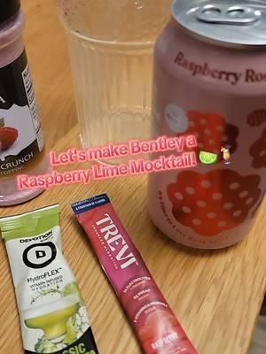 Raspberry Lime Mocktail for my patient child 😅🥰🍋‍🟩🍹 #mocktail #Raspberry #lime #Hydrate #mocktailrecipe #hydration #sweet #tart #classicmargarita #hydroflex #devotionnutrition #untilitsdone #trevi #electrolytes #poppi #drinkpoppi #Raspberryrose #smashfoods #superfoods #jam #delicious #festive #fun #cookwithkat #teambentley #twin #raspberrycrunch #syruvia @Devotion Nutrition Protein @Smash Foods @Drink Poppi @Syruvia 