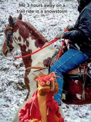 #CapCut #snowstorm #horse #spottedhorse #fyp #tennessee #snow #boss #pto #trailride 