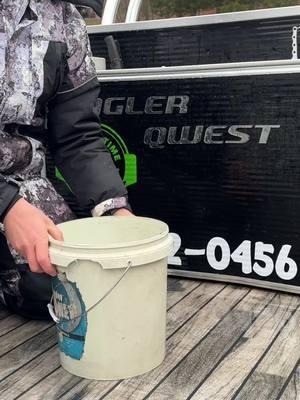 5 gallon bucket full of Crappie. #catchthefever #4reelfishing #fishtok #fishing #goobertimeguideservice @4REEL Fishing LLC @Catch The Fever @AlphaBoardz @FishinFuel 