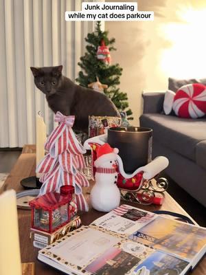 stormy throwing her ginger bread around in the back 😂💋#junkjournal #journaling #junkjournalideas #cat #kitten #christmas #christmasjournal #journal #craft #crafting #journalwithme #scrapbooking #scrapbook #catsoftiktok 