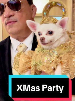 #LikeFatherLikeSon — #Chihuahua #BogieAndKimba wearing #AnthonyRubio #CanineCouture — #DogFashion #StylishDog #DogFashionista #spoiledDog #PetFashion #StyleIcon #DogFashionShow #holidaypartyoutfit 