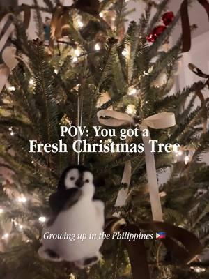 I love fresh Christmas trees 🥹🌲✨ #filipino #filipina #filipinorelatable #filipinainnewyork #filipinainusa #christmastree #christmastreedecor  #freshchristmastree 