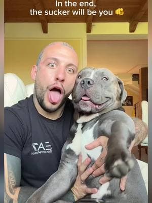 Dad , mino, sophia do you like ? #so #pet #dog #dogoftiktok #baby #petoftiktok #dogsoftiktoks 