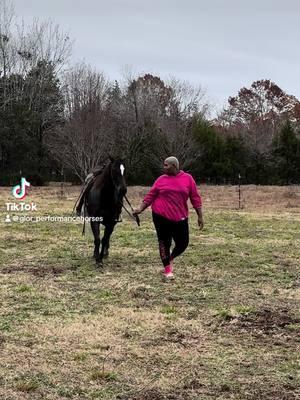 My spirit animal ♥️ #matchingenergy #jesslousianabluemare #coronacartel #glorperformancehorses 