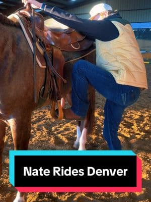 Nate rides my baby stallion, Denver!🐴 @Nathan Perry #firstthingzfirst #aqhastallion #stallionsoftiktok #westernpleasure 