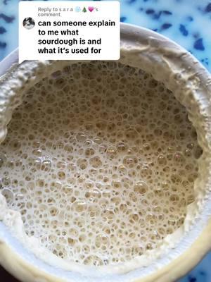 Replying to @s a r a ❄️🎄💗 what is a sourdough starter? #sourdough #sourdoughtok #sourdoughclub #sourdoughtiktok #sourdoughasmr #sourdoughcrunch #sourdoughbread #sourdoughstarter 