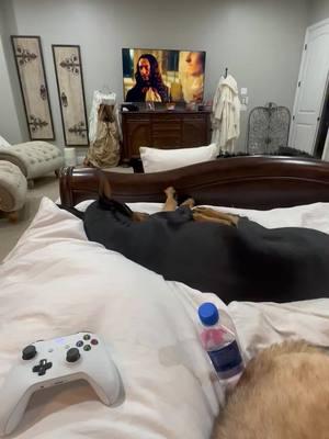 I mean who else has this problem - the dogs always end up having more of the bed wth #dogsoftiktok #luvmydogs❤️ #doberman #germanshepherd #fyp #dogsinbed #noroom #bestdogever 