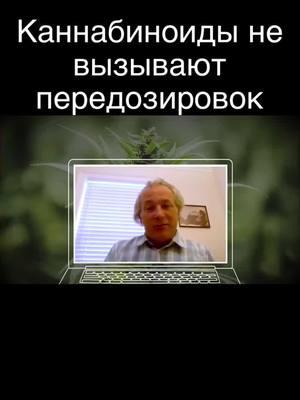 Смертельных передозировок от каннабиноидов нет #cbd #каннабидиол #краснодар #здоровьебезлекарств #здоровье 