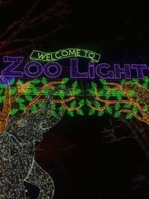 🌟🦁🌟🦍🌟🐘🌟🐒#zoologico #zoo #zoowashingtondc #zoolights #maryland #dmv #md #fyp #foryou #fyppppppppppppppppppppppp  