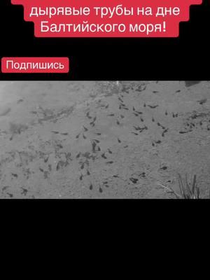 A cruel reckoning! Russia refused to fix leaky pipes at the bottom of the Baltic Sea! @ИНФОРМАЦИОННЫЙ СЛИВЫ #putin #briks #usa #fyp #trump #news 
