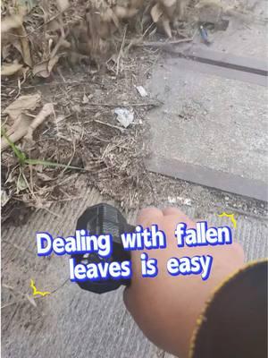 Dealing with fallen leaves is easy #airduster #jetfan #airdusterforcomputer #TikTokShop 