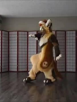 #fursuitdance #fursuitdancing #fursuit #fursuits #fursuiter #furry #furries #fursuiting #fursona #dance #dancerfur #twilightsaint #furryfandom #furs 