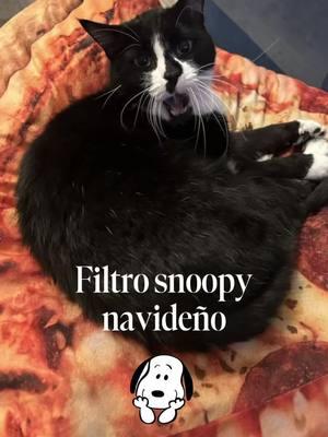 #filtrosnoopy #kitty #filtroia #tobi #feliznavidad #snoopy #cats #cat #catsoftiktok #blackcat #holidays #christmas 