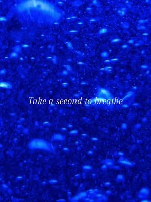 Self regulate with me, Breathe 🤍#selfregulation #calm #peace #anxietyrelief #anxiety #insomnia #breathe #breathewithme #bubbles 