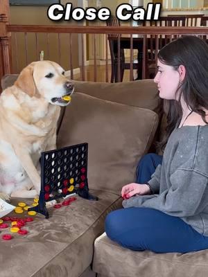 Magnus sheds a TON! How do you cleanup pet hair? #dog #labrador #doghair #dogdad #funnydog #Magnus