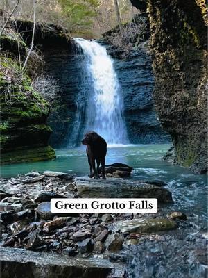 Waterfalls in AR!  Green Grotto Falls - a 3 mile round trip hike in the Lost Corner general area (north of Morrilton) with many more falls nearby.  Search our Waterfalls in AR map for Green Grotto Falls for full location info. Find the map in the linktree in our bio.  #chasingwaterfalls #waterfall #arkansaswaterfalls #waterfallsinarkansas #greengrotto #hike #explore #adventuretime #happydog #lablife #dogsoftik 