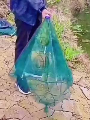 Want to catch fish effortlessly outdoors? You need this umbrella fishing net! Just toss it in the water, and no fish will escape! #OutdoorFishing #ShrimpCage #FishCatching #FishingNetRecommendation #FishingGear #EasyFishing #CatchMoreFish #FishingLife #TikTokFinds #TqkTokShopHolidayHaul