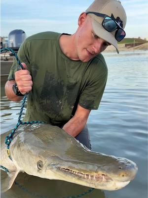 Look at those teeth!! Here is the giant alligator gar that @TheFishWhisperer and I caught and tagged. This prehistoric fished measured 6ft 4inches long and weighed over 100lbs!  To date this is by far the coolest fish I have ever handled. Being up close and personal, touching the scales, looking this fish in the eyes and being inches away from over 80 razor sharp teeth was something I’ll never forget! Believe it or not they get even bigger too… some have been caught over 10feet and 300+lbs 😳 • •  • #fishing #alligatorgar #rivermonsters