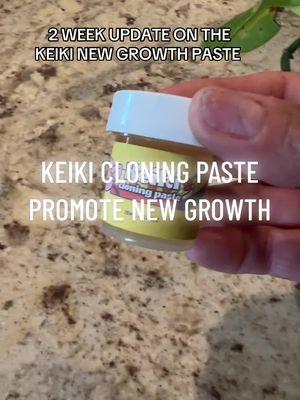 This cloning paste will help produce new growth on your plants in just 2 weeks, works like magic!! 🤩🌿🪴#plantsoftiktok #plants #newleaves #plantstuff #TikTokShop #keiki #keikipaste #saveplants #magicpaste 