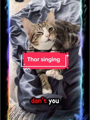 @Chay #foryou #meme #memecut #cat #cats #catmeme #catsinging #catlipsync #ai #CapCut 