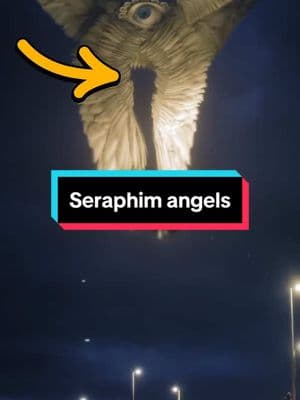 Seraphims angel are truly incredible and unique creatures 🙏 #bible #angel #seraphim 