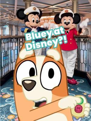 For real life?! Bluey is coming to Disney! 🎉  Disney just announced an expanded partnership with BBC when it comes to all things Bluey. This includes the new Bluey movie that’s coming in 2027, but Disney Parks and Cruises will get some Bluey fun earlier than that. Starting in January 2025, you’ll be able to meet Bluey and Bingo on Disney Cruises from Australia and New Zealand. Get ready for meet-and-greets, interactive games, and dance parties. Eventually, the whole Heeler family will appear at Disneyland and Disney World. Details for the parks are still on the way, but who’s excited to see Bluey at Disney? 🐾 Follow Guide2WDW for more Disney updates! #Bluey #DisneyParks #DisneyCruiseLine #disneynews #disneyworld #Disneyland #blueydisney #Guide2WDW 