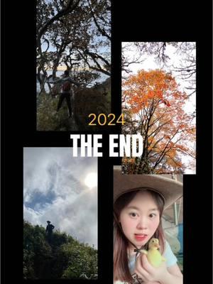 End with my 2024 🥰🥰 with @Filmora Video Editor #Filmora #madewithfilmora #AIVideoEditor #2024recap #recap #template