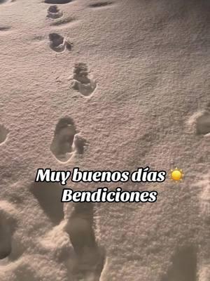 Dia de bendiciones #nieve #muchanieve #tormentadenieve #madisonwisconsin 