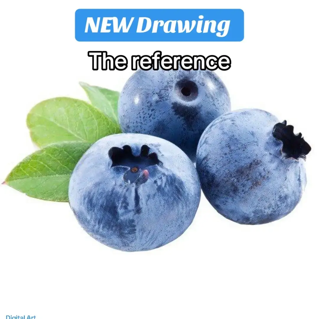 #procreate #digitalart #realism #realisticdrawing #blueberry #blueberries #berries #cuteart #gingham #cottagecoreaesthetic #artist 