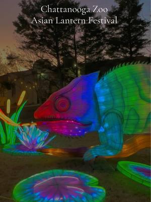 Chattanooga Zoo Asian Lantern Festival was a delight !! We went early and during the week to avoid the crowds. #willtravelover50 #alabamatraveler #chattanoogatennessee #chattanoogazoo #asianfestival #chattanoogafun #zoo #traveltiktoker 