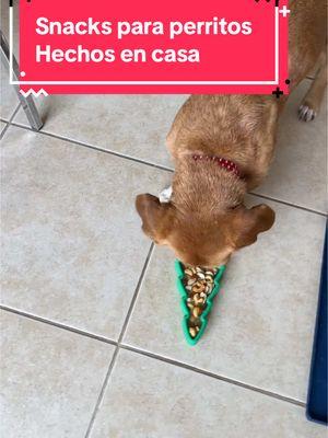 Freezebone la manera de preparar snacks saludablempara tu perrito en casa  . #freezebone #freezebonerecipes #perro #perrito #perritos #perrita #perrostiktokers #perritostiktokers #perritatiktokera #snacksparaperro #freezetree 