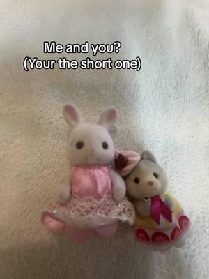 idk why the white one dirty i found it in my brothers room #calicocritters #meandyou #youandi #meandwho #matching #besties #sharevideo #blowup #viral #sharevideo #pleasegoviral #helpme #blowup #viraltiktok #floppingera #flopping #sigma #bunny #wolf #calicocritterscollection #blowup #xcyzbca #viet #merrychristmas #hwanghyunjin #hyunjin #straykids #skzoo #stayfandom #jypestraykids #jypentertainment 