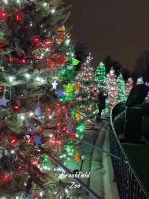 #Luces #navideñas en el #zoológico #brookfieldzoo #zoologico 