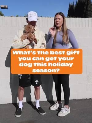 What’s the best gift for your pet this holiday season? 🐾  Quality time, love, and something to keep them happy and healthy!  Whether it’s a new toy, a cozy bed, or DOGTV, make it personal and paw-some! 🐕  #DOGTV #happyholidays #enrichmentfordogs #dogparents #dogmom