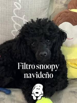 #filtrosnoopy #filtroia #feliznavidad #capcut #poochonsoftiktok #poochon 