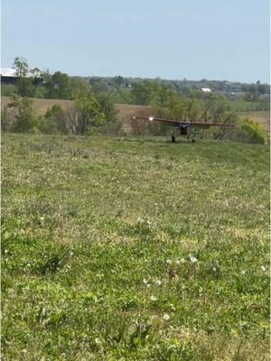 Cow pasture or runway? Landing on this section requires following the rolling hills. If it’s not timed correctly, the hill will find you and be more of an impact than a landing. #flying #cessna172 #aviation #airplane #cessna #bushplane #kentucky #fyp 