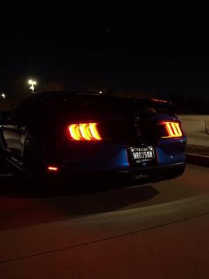 Security guard came outside and said he thought a shoot out was going on behind the warehouse 😭 #fyp #foryou #foryoupage #ford #shelby #fordperformance #fordracing #shelbyamerican #shelbyracing #gt350 #gt350r #shelbygt350r #mustang #car #cars #cartok #automotive #trending #viral #car #cars #cartok 