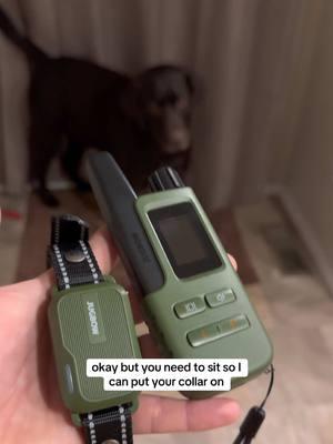 If you’re looking to improve communication, recall & behavior with your dog, this is the best start! I pinned the item above this in the orange cart!👏 #dogcollars #DogTraining #trainingyourdog #dogtrainingtips #ecollar #dogcollar #howtotrainadog #dogtok #dogobedience 