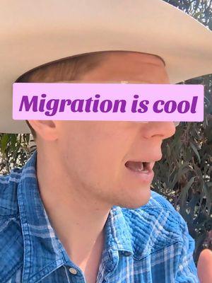 @MayQuean  Living in the 21 century can seem really depressing, but we also have these amazing tools to be able to easily live anywhere in the world. Most of the digital nomads you see on social media aren't rich and aren't trust fund babies.  Most of us (US citizens) had parents/grandparents/ or some ancestors that migrated for a better life. Don't let the loud Internet people try to convince you that people born in the USA can't, or shouldn't, migrate. That's just silly. For anyone wanting to migrate, stick around   #migrationiscool #migrationisforeverybody #immigrantlife
