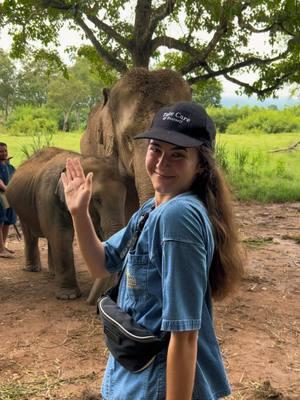 Amazing place to get closer to elephants in Thailand 🇹🇭 #goldentriangle #Thailand #chiangrai #amazingthailand #placetovisit 