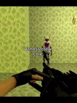 #vanoss #vanosscrew #vanossgaming #h20delirious #wildcat #nogla #luicalibre #moosnuckel #basicallyidowrk #terroriser 