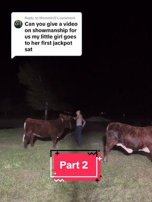 Replying to @Mommin3 Here is part 2 #fyp #showcattle #influencer #keepinitcountry #cattle #westernfashion #viralvideo #showlife 